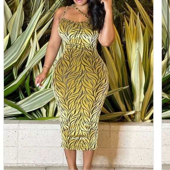 IN YOUR DREAMS! - Picture 1 of 2